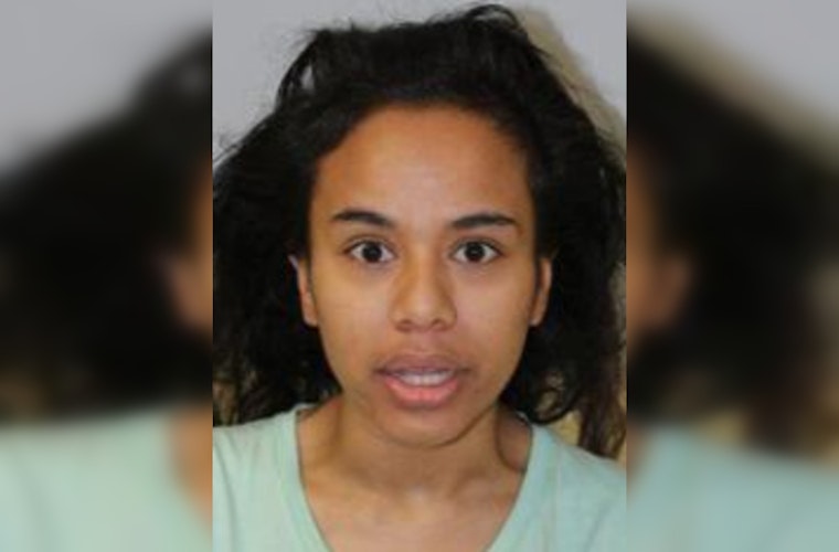Hawaii Police Call for Public Help to Find Missing Woman in Mountain View