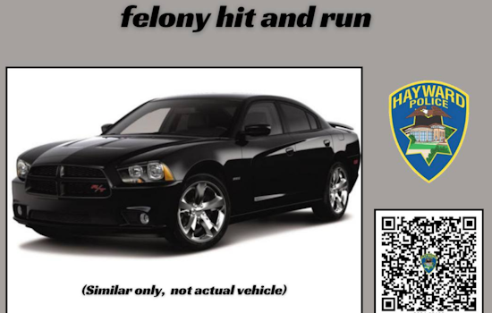 Hayward Police Seek Community Aid in Locating Suspected Hit-and-Run Driver After Pedestrian Critically Injured