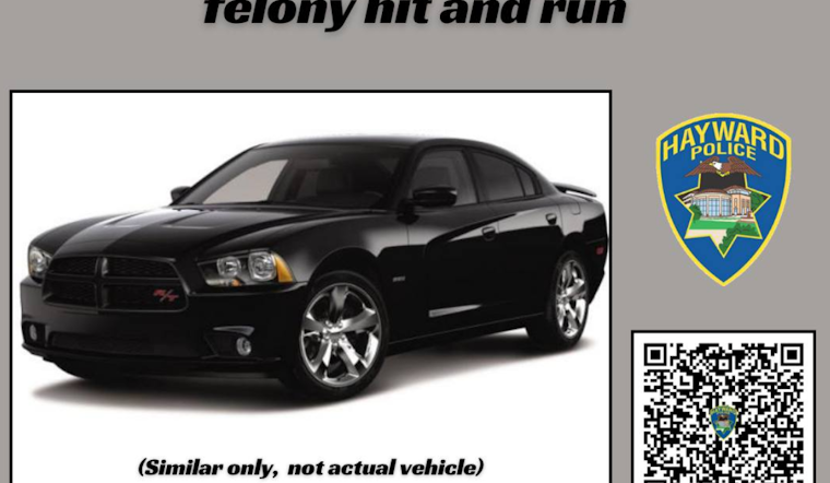 Hayward Police Seek Community Aid in Locating Suspected Hit-and-Run Driver After Pedestrian Critically Injured