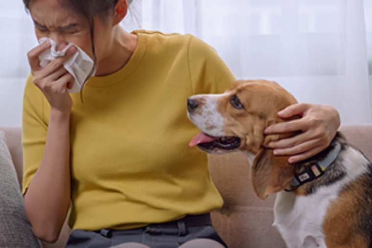 Health Experts in Arapahoe County, Colorado Urge Vaccination Amidst Flu, RSV, and COVID-19 Surge