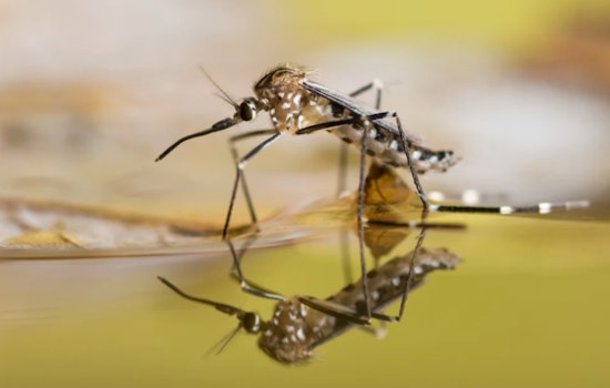 Hillsborough County Launches Nighttime Aerial Mosquito Control Following Hurricane Milton