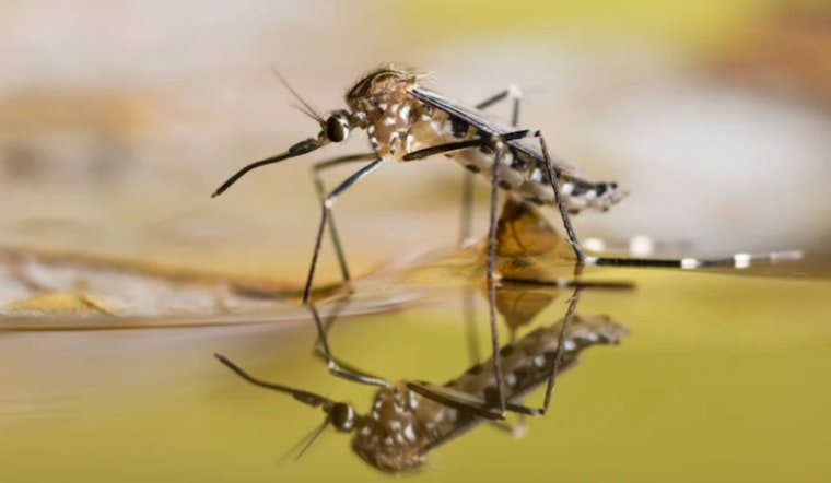 Hillsborough County Launches Nighttime Aerial Mosquito Control Following Hurricane Milton