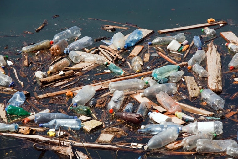 Hillsborough County Launches Online Tool for Reporting Waterway Debris Post-Hurricanes Helene and Milton