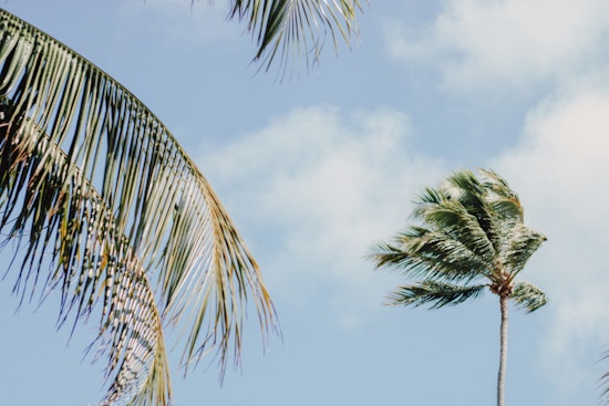 Honolulu Braces for High Winds and Elevated Surf as NWS Issues Advisory