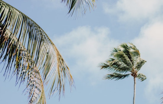 Honolulu Braces for High Winds and Elevated Surf as NWS Issues Advisory