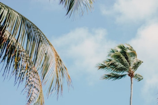 Honolulu Braces for Strong Trade Winds and High Surf as National Weather Service Issues Advisories