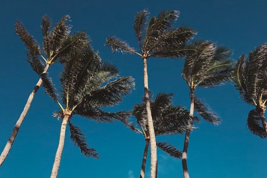 Honolulu Braces for Strong Trade Winds and Potential Fire Weather as Wind Advisory Remains in Effect