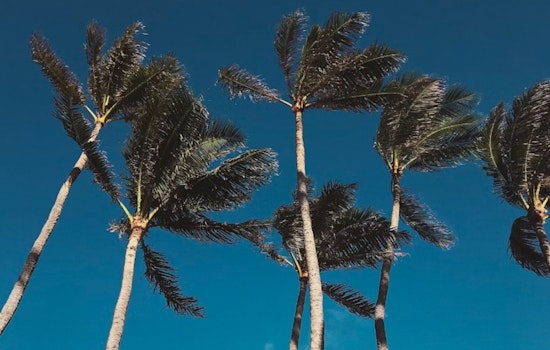 Honolulu Braces for Strong Trade Winds and Potential Fire Weather as Wind Advisory Remains in Effect