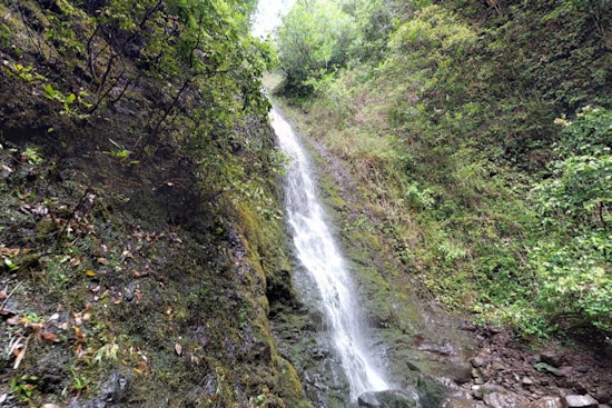 Honolulu Fire Department Successfully Rescues Lost Hikers from Lulumahu Falls Trail