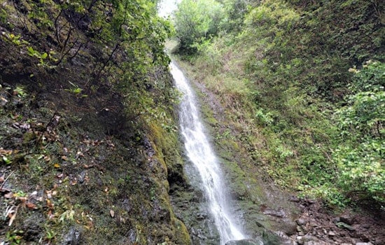 Honolulu Fire Department Successfully Rescues Lost Hikers from Lulumahu Falls Trail