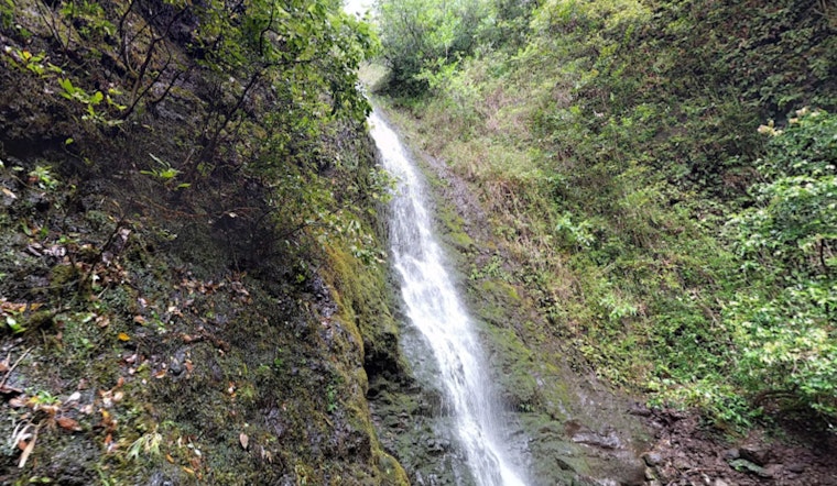 Honolulu Fire Department Successfully Rescues Lost Hikers from Lulumahu Falls Trail