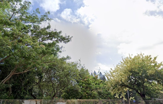 Honolulu Forecast, Moderate Trade Winds to Weaken, Shift in Weather Pattern Anticipated