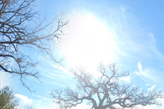 Houston Braces for Record-Breaking Warm November as Thanksgiving Approaches