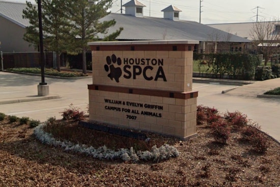 Houston Home Scene of Repeat Animal Hoarding Case with 50 Rescues and Deceased Pets Found in Galveston