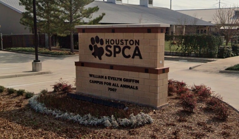 Houston Home Scene of Repeat Animal Hoarding Case with 50 Rescues and Deceased Pets Found in Galveston