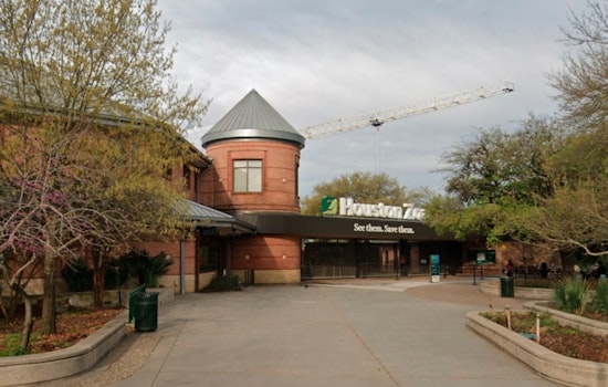 Houston Zoo Partners with BlueSprig to Foster an Autism-Friendly Experience for Visitors