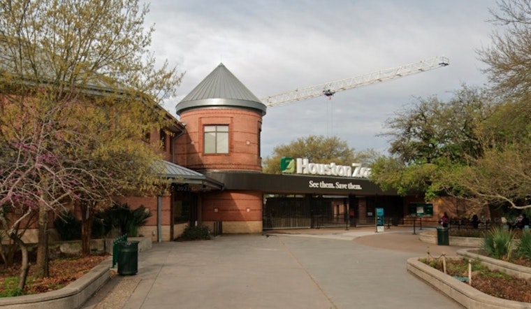 Houston Zoo Partners with BlueSprig to Foster an Autism-Friendly Experience for Visitors