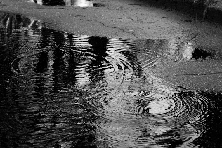 Houston's Battle with Persistent Water Leaks Evident as Top Concern in 311 Complaints Despite City Efforts