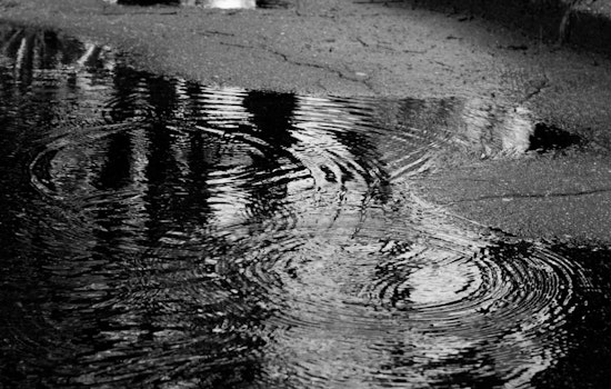 Houston's Battle with Persistent Water Leaks Evident as Top Concern in 311 Complaints Despite City Efforts