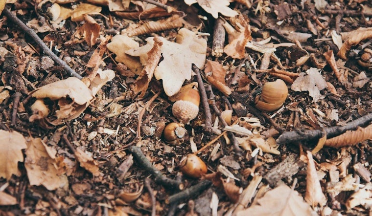 Ignite Creativity with Stories and S’mores at Cedar Lake Farm Regional Park's Family Event