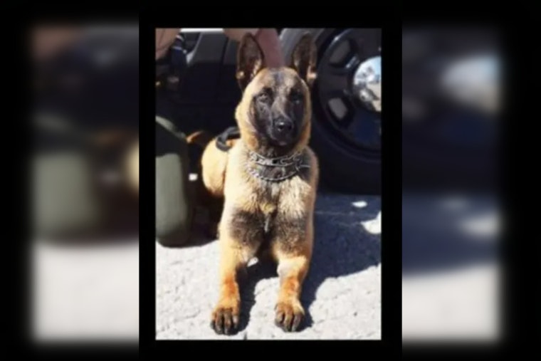 Illinois State Police Honor K-9 Riggs' Legacy After Sudden Passing Due to Cardiac Event
