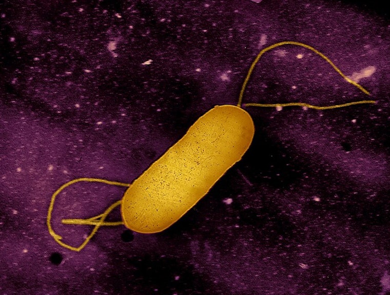 Infant Death in California Linked to Multi-State Listeria Outbreak from Ready-to-Eat Meats by Yu Shang Food Inc.