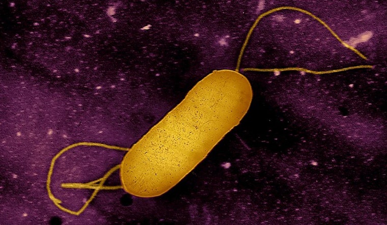 Infant Death in California Linked to Multi-State Listeria Outbreak from Ready-to-Eat Meats by Yu Shang Food Inc.