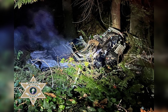 Investigation Launched After Two People and a Dog Perish in Fiery Kitsap County Road Crash