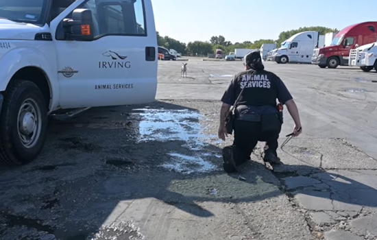 VIDEO: Irving Police Department Invites Community to Pursue Animal Service Officer Roles During National Animal Shelter Appreciation Week