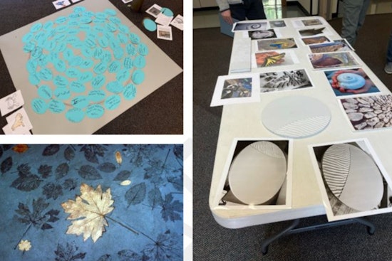 Join Artist Bruce Myers for a Collaborative Public Art Workshop at Seattle's Discovery Park