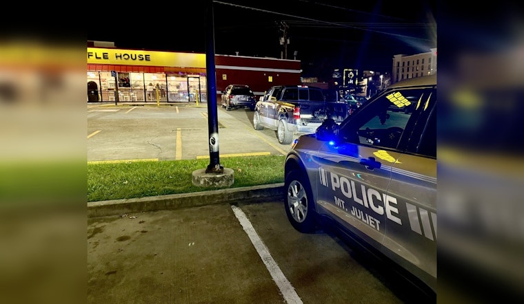 Juveniles Charged in Theft of Christmas Decorations in Mt. Juliet Neighborhood