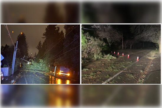 Kirkland Reflects on Storm Response: City Manager Commends Residents, Calls for Feedback to Strengthen Future Preparedness