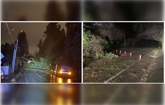 Kirkland Reflects on Storm Response: City Manager Commends Residents, Calls for Feedback to Strengthen Future Preparedness
