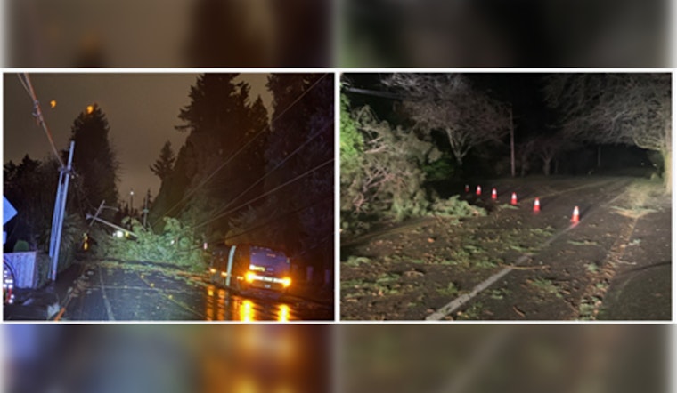 Kirkland Reflects on Storm Response: City Manager Commends Residents, Calls for Feedback to Strengthen Future Preparedness