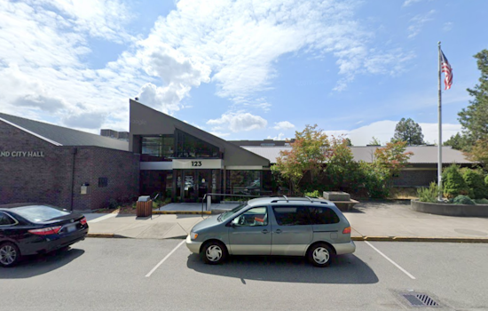 Kirkland Sparkles with Joyful Winter Activities: Snowflake Ball, Google Lights, and Tree Lighting Usher in the Season