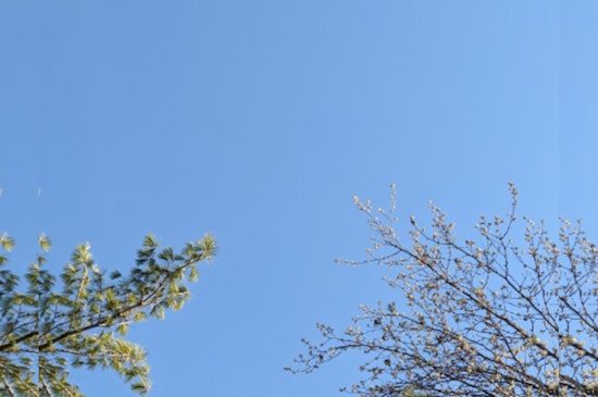Knoxville Welcomes Warmer Temperatures with Mixed Chances of Showers According to NWS Forecast