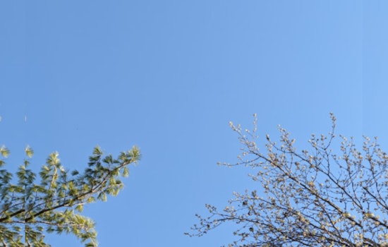 Knoxville Welcomes Warmer Temperatures with Mixed Chances of Showers According to NWS Forecast
