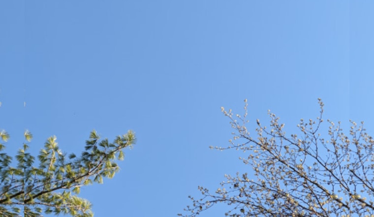 Knoxville Welcomes Warmer Temperatures with Mixed Chances of Showers According to NWS Forecast