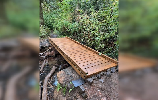 Lacamas Regional Park's Trail to Lower Falls Reopens with New Bridge After Months-Long Closure