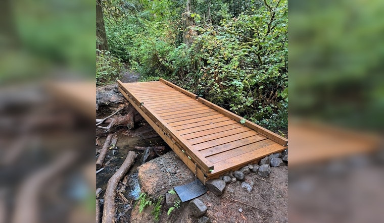 Lacamas Regional Park's Trail to Lower Falls Reopens with New Bridge After Months-Long Closure