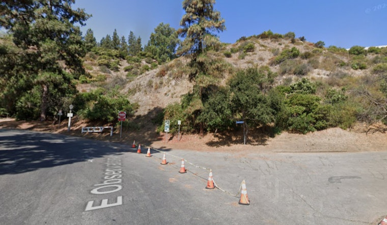 LAFD Quickly Extinguishes Griffith Park Brush Fire Near Observatory, No Injuries Reported