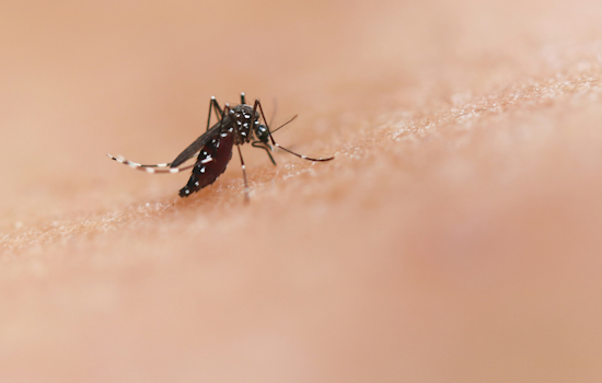 Lake County Initiates Aerial Mosquito Control in Post-Hurricane Effort