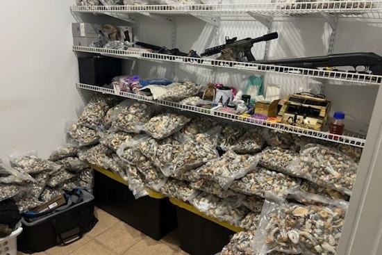 Lake Elsinore Man Apprehended in $2.9M Psychedelic Mushroom Bust Amid Ongoing Investigation