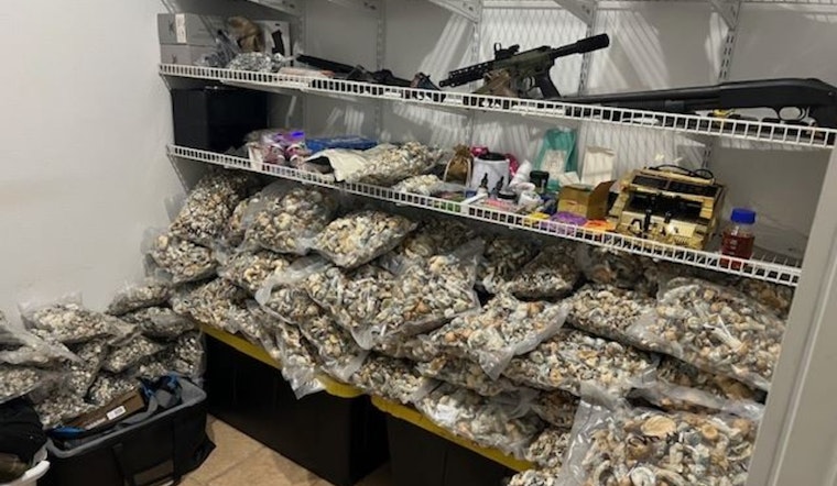 Lake Elsinore Man Apprehended in $2.9M Psychedelic Mushroom Bust Amid Ongoing Investigation