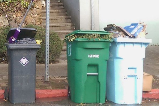 Lancaster Announces Curbside Yard Waste Collection Schedule for 2024, Emphasizes Proper Waste Separation Rules