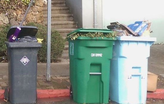 Lancaster Announces Curbside Yard Waste Collection Schedule for 2024, Emphasizes Proper Waste Separation Rules