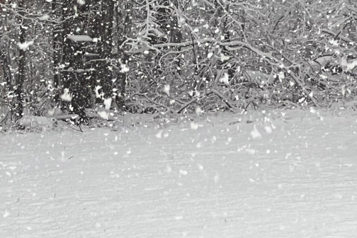 Las Vegas Braces for Significant Snowfall as NWS Issues Winter Storm