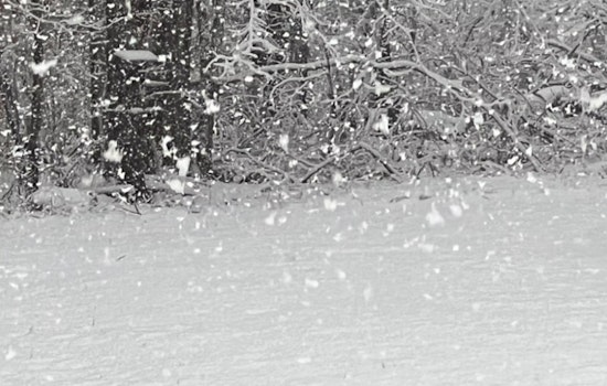 Las Vegas Braces for Significant Snowfall as NWS Issues Winter Storm Warnings for Southern Sierra, Great Basin Regions