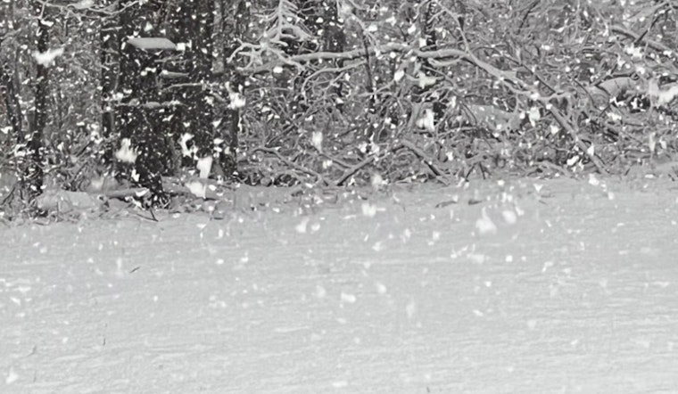 Las Vegas Braces for Significant Snowfall as NWS Issues Winter Storm Warnings for Southern Sierra, Great Basin Regions