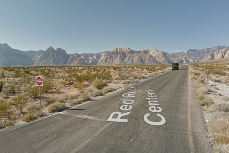 Las Vegas Rescue Group Saves Three Abandoned Dogs Near Bonnie Springs Ahead of Thanksgiving